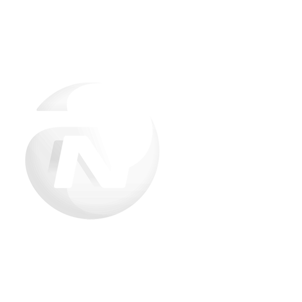 NN Group - 2022