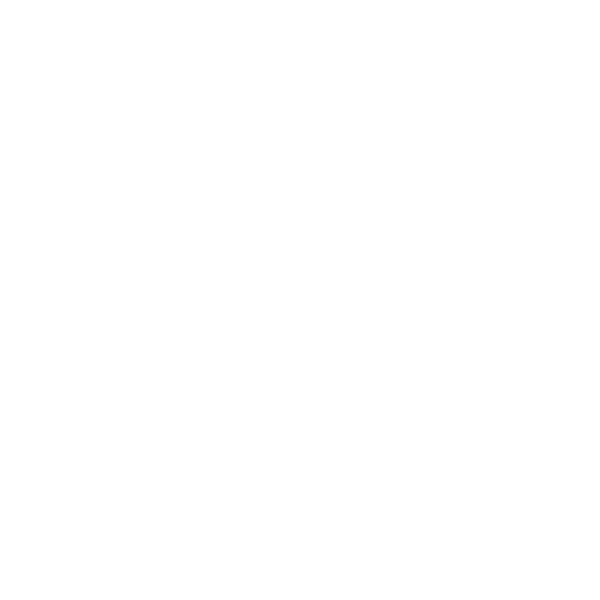 BDO - 2022 & 2024