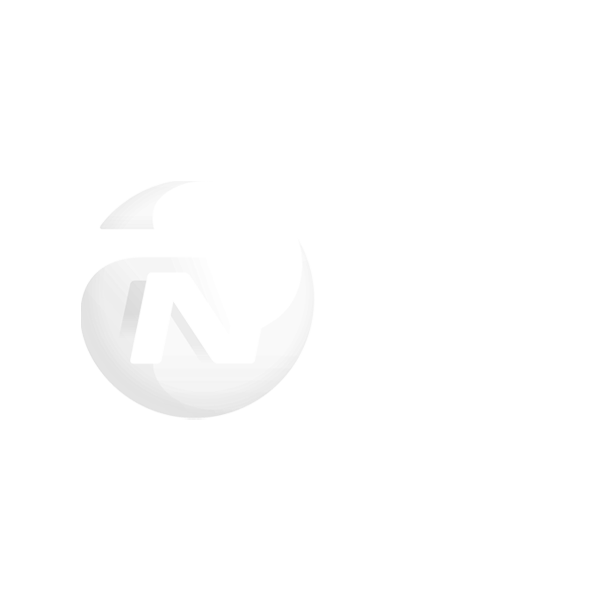 NN Group - 2022