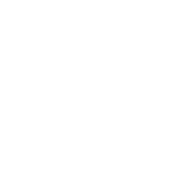 Arcadis - 2024